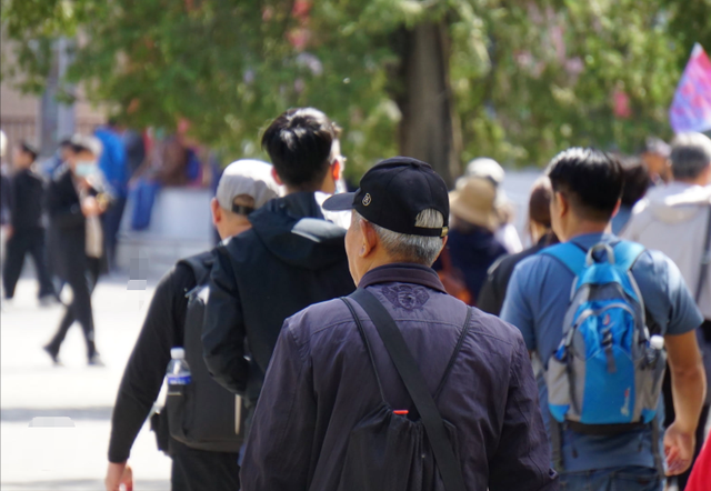 我退休8年，换了3种旅行方式都放弃后，才发现人老了这样旅行更自在