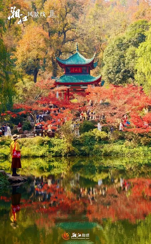 湖南“追枫”地图更新！哪片红对你的味？