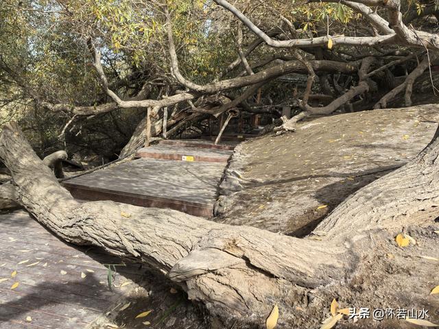 2025环南疆沙漠铁路背包自由行日记(3)---新藏公路零起点叶城打卡