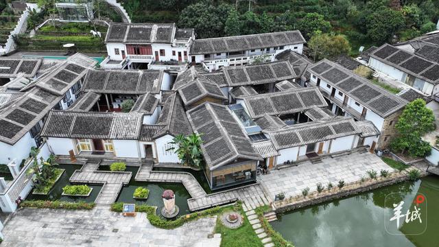 潮州潮安区东兴村：又见茶山 | 大美岭南·百村焕新记