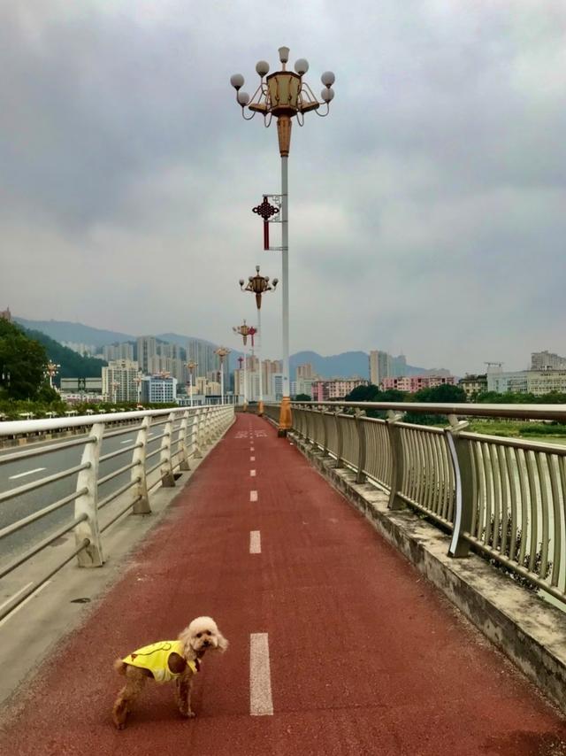 和老伴去福建三明，住了一个月，我实话实说：跟网上说的不太一样