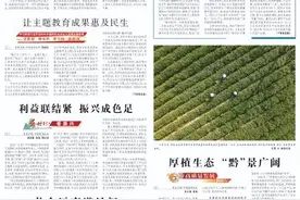 英雄城“锦”绣乡村——辽宁省锦州市在新时代“辽沈战役”中跑出三农加速度图片