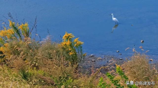 鄱阳湖畔的秋日舞会