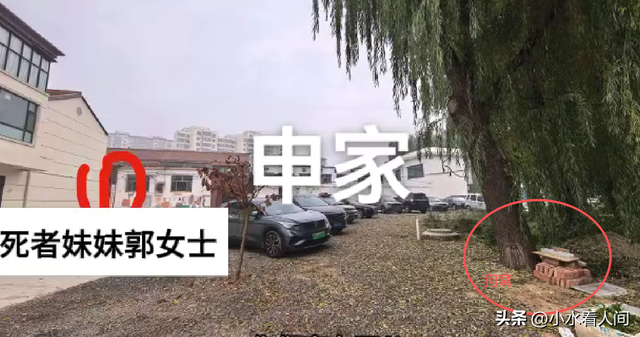 狗主人被反杀案开庭，9人闯门打砸，妻子后悔冲动，更多细节披露