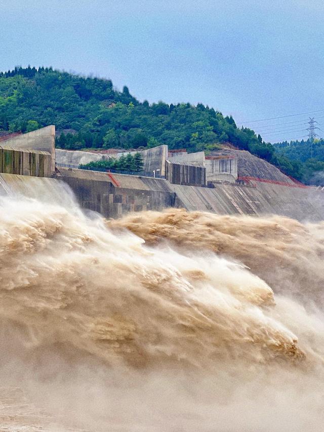 西安没想到，南京也没想到	，如今的中国洛阳，已成为全国焦点