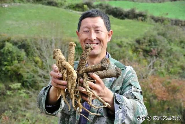 舌尖上的“文县”余味悠长
