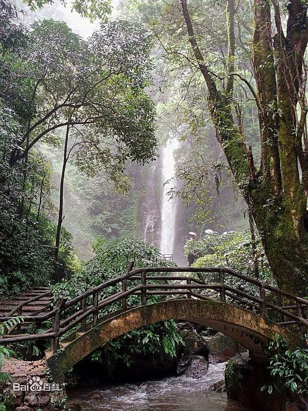 莫里热带雨林好风光