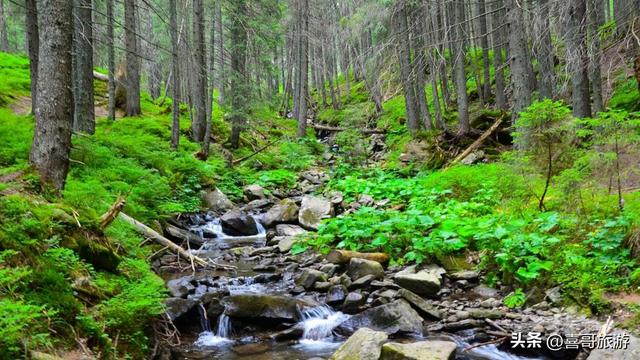 敦化老白山：长白深处的原生态秘境