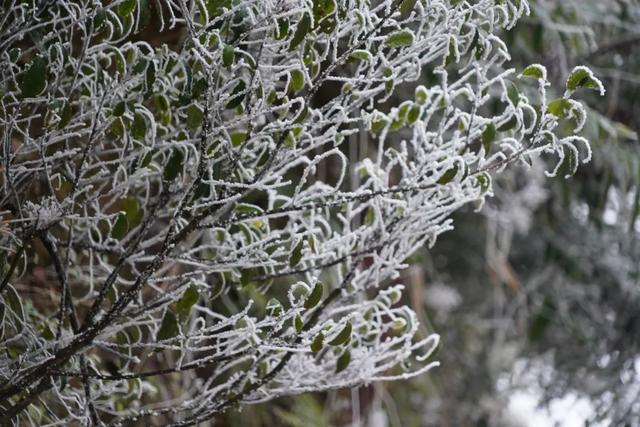 “云赏”怀集的冰雪世界