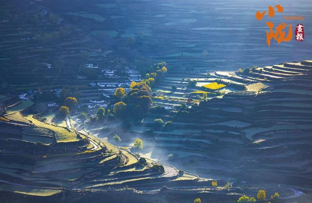 【小陇画报·432期】初冬时节 临潭最后一波秋色惊艳诱人