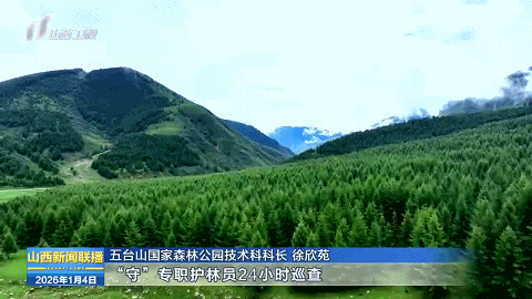 五台山：“垂直生命带”上的植物园