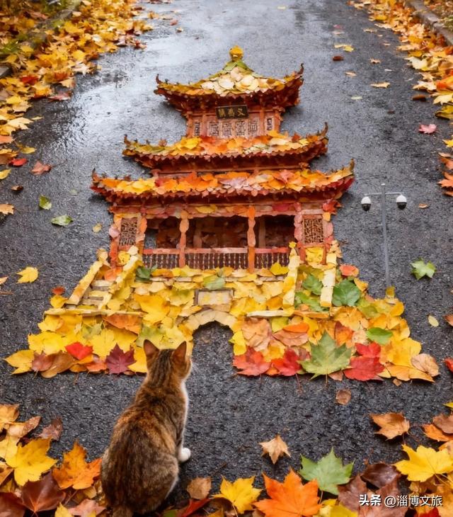 🤏捡捡捡，淄博惊现“捡秋”大神！海岱楼、周村大街…全被捡出来了→