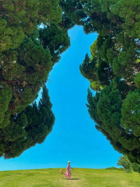 高铁直达！8月一定要去的国内4个“零差评”避暑天堂，均温20℃+