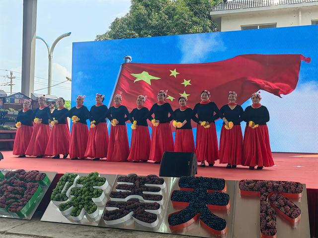 云南安宁市禄脿第十届葡萄文化旅游节开幕