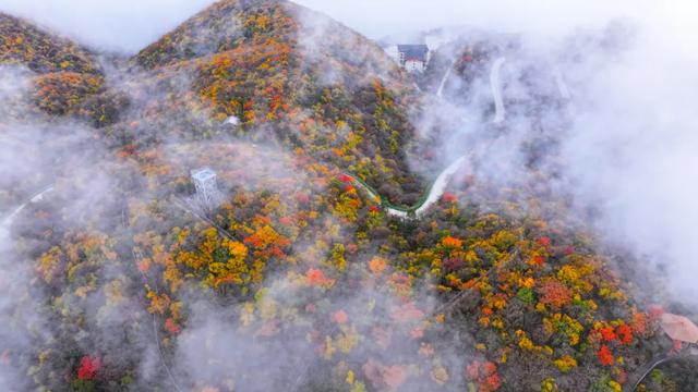 赏秋正当时!自驾来汉中,赴一场秋日视觉盛宴~