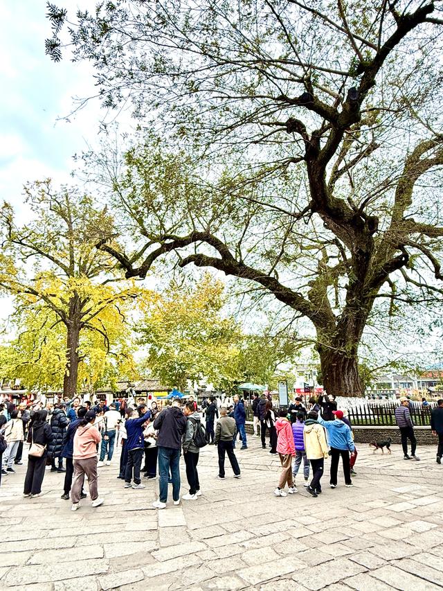 宏村很牛（黟县宏村）