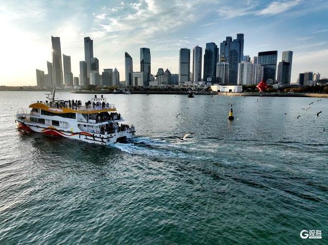 喂海鸥、赏夕照，青岛海上观光迎来最佳时节
