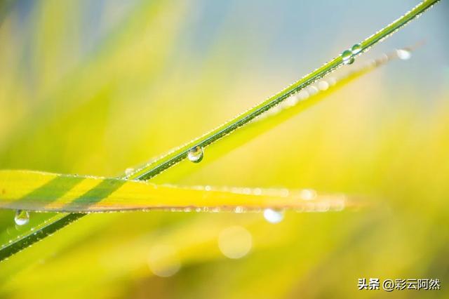 新一轮强降水来袭，冷空气局地降温12℃，明日9月8~10号降雨如下