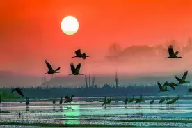 候鸟式养老栖息地！贵阳，全国第四图片