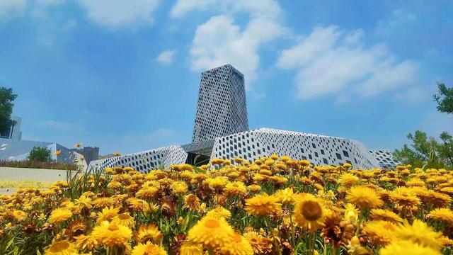 槐荫区创意微景观：方寸间绽放城市之美