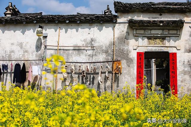 春光明媚 跟着摄影师镜头畅游美丽中国