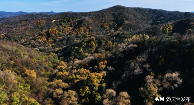 把灵台秋韵的山水诗意 都藏进这个秋天里