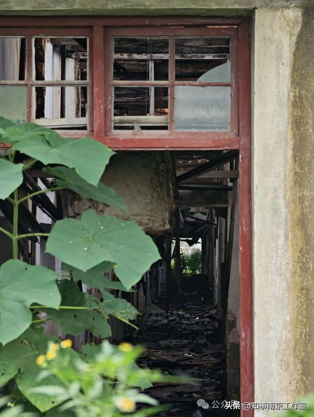 「转载」隐匿在南京老山的生化残城