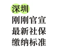 深圳灵活就业参保全攻略！手把手教你3步搞定，每月少花冤枉钱！图片