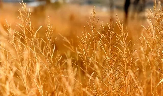 象河乡有两个宝藏游玩地，每一个都值得奔赴~