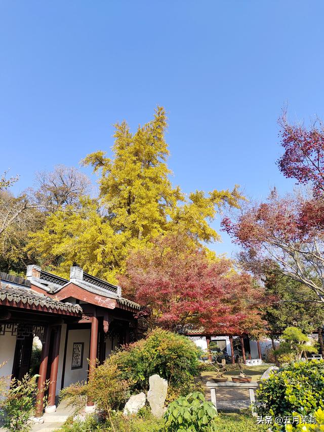 漫游镇江 去赴一场秋景盛宴