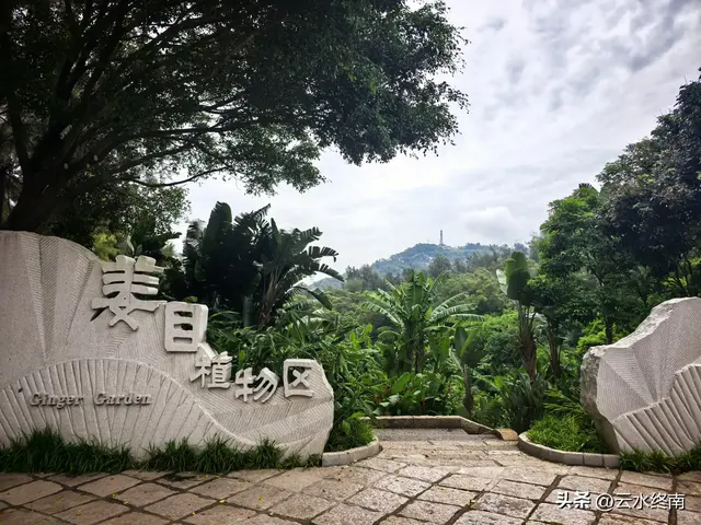 一个五A级植物园，到底藏着哪些值得看的地方，这是最实在的攻略