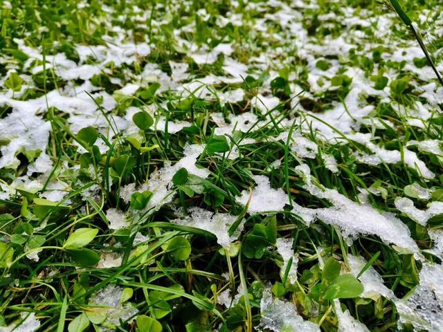 临洮秋天的雪，来啦！