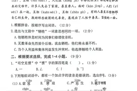 2024年六年级期末考试（小考）小升初语文试卷图片