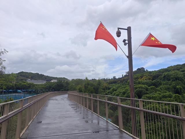 西丽湖国际科教城绿道高清随拍
