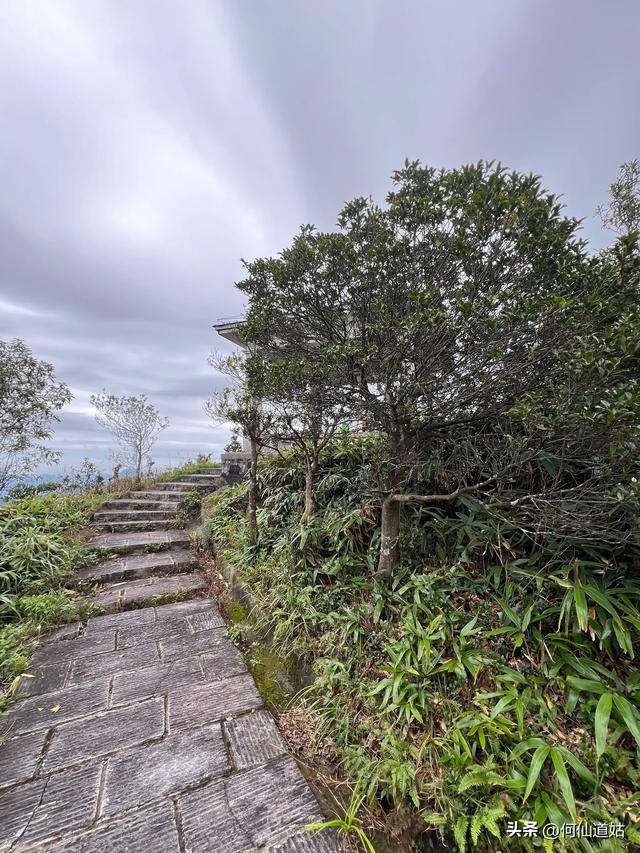 这个时候去五指山