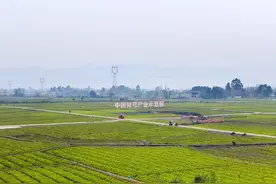 蜀地中医药走向世界①丨从彭州到国际 道地药材出海图片