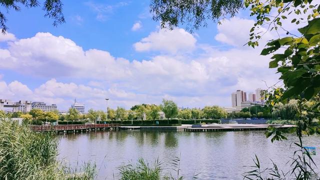 寻美薛城丨极度舒适！一起来感受薛城版“向云端”！
