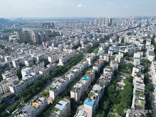 你好 东坡！| 红星路：从机器轰鸣到市井烟火