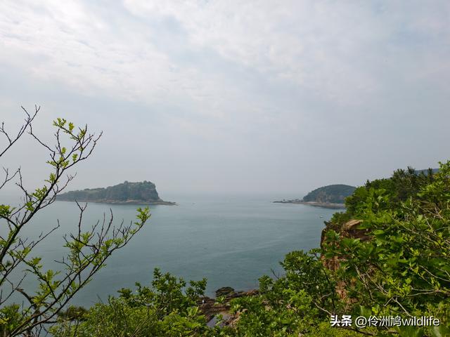 大连海之韵公园·棒槌岛