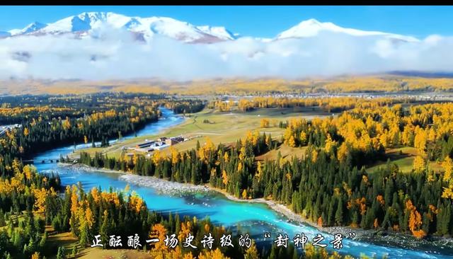 喀纳斯才是秋景顶配！入秋过后的这里，藏着全年最浓的色彩暴击