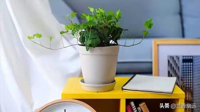 两性关系：如果还想多活几年，65岁以后必须牢记这5句话