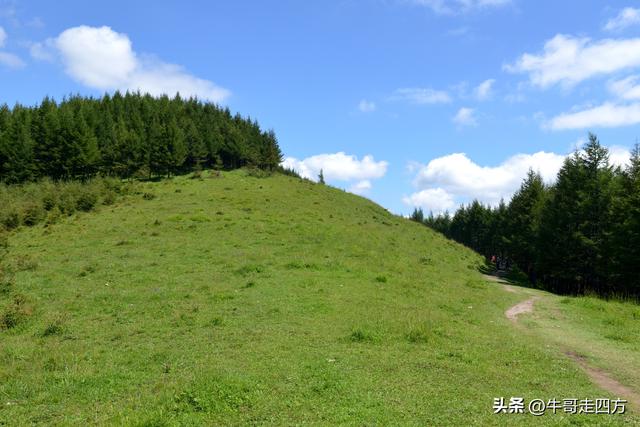 河北麻田岭（上）：绿野铺毡接云影、风轮伴路探山魂