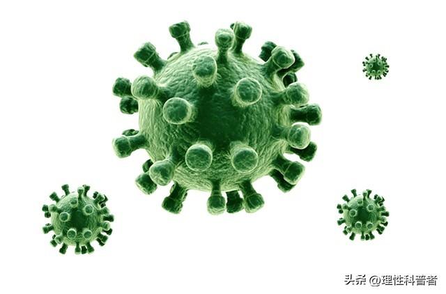 病毒，到底是生物还是非生物？本文为你解读