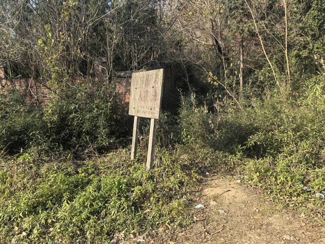 南京第二次到镇江武岐山空青山郊野徒步