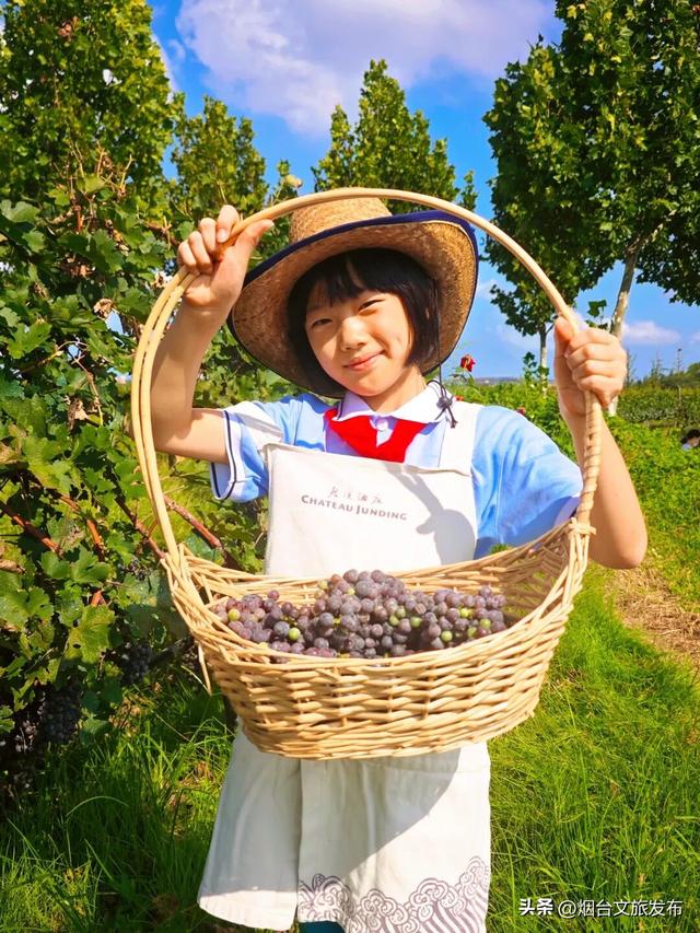 【乐游烟台】挖到宝了！烟台这些冷门秘境限时优惠，人少出片！