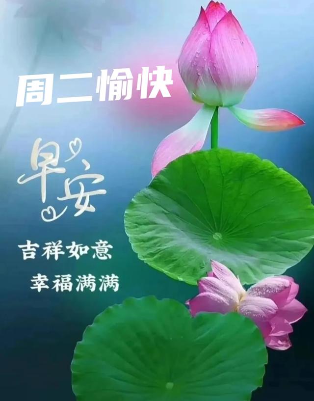 2025年7月29日早上好 早上好温馨问候语 最新早安精美图片 周二愉快