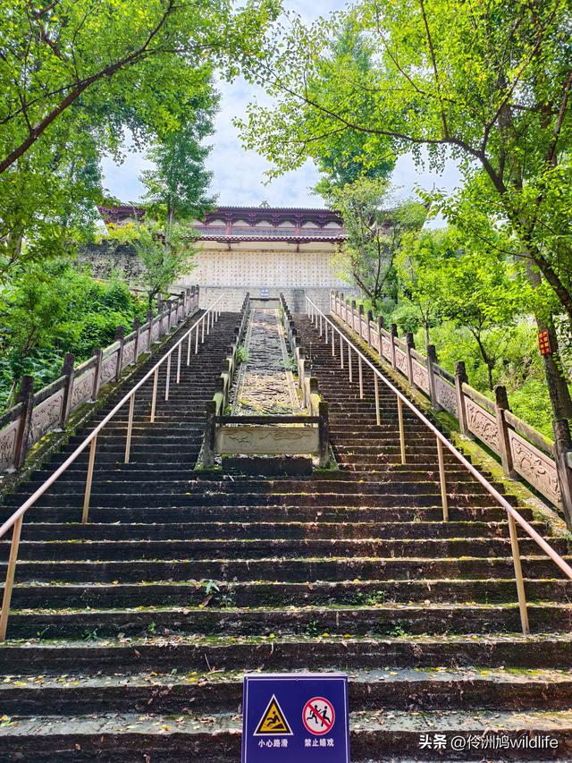 成都徒步（68）·彭州篇⑮佛山古寺&镇国寺宝塔