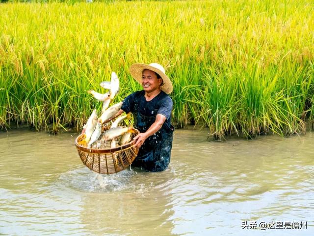 儋眉城市联动宣传特别报道丨东坡文化泽后世 “CP”双城谱新韵