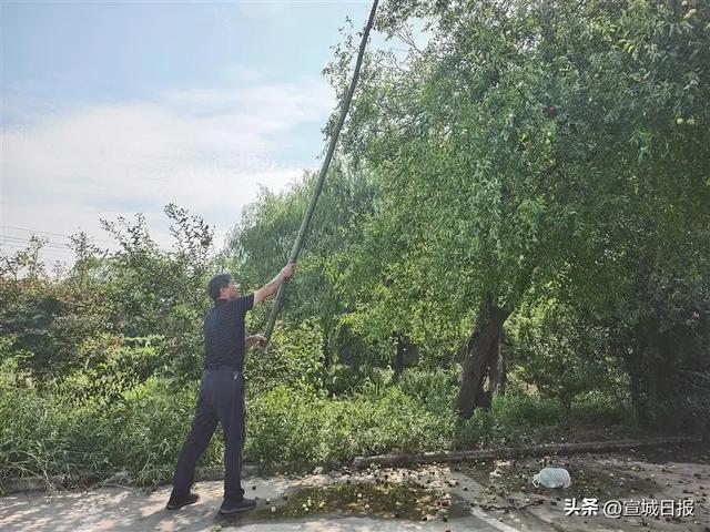 宣城有个“甜蜜小镇”！