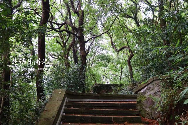 宁波东钱湖畔的清秀小山，丛林秘境中藏着徒步胜地，周边风景更美